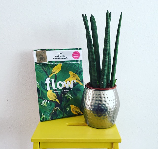 Flow Magazine, wat doe je dat leuk!