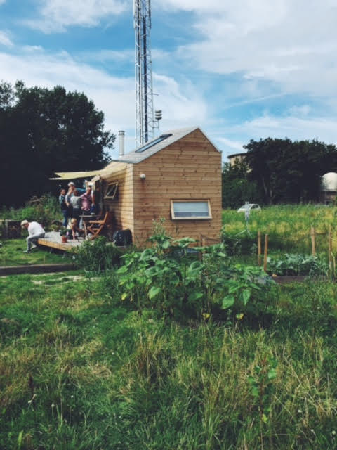 Photography by Liz Dolfin