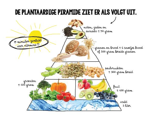 de-plantaardige-piramide